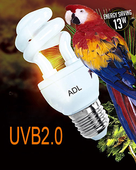 UVB Compact Fluorescent Lamp For Bird